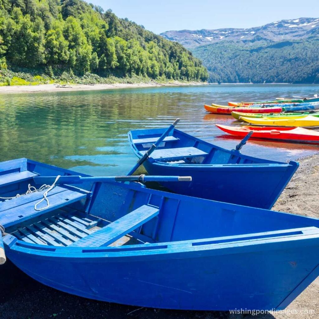 A blue and colorful boat on the lake - Nature Images
