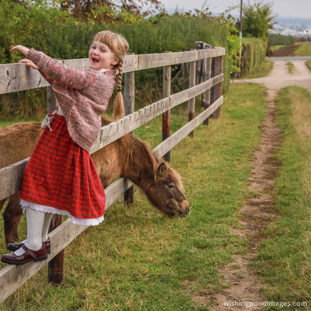 A little girl holding and standing on the fence near the horse - Nature Images