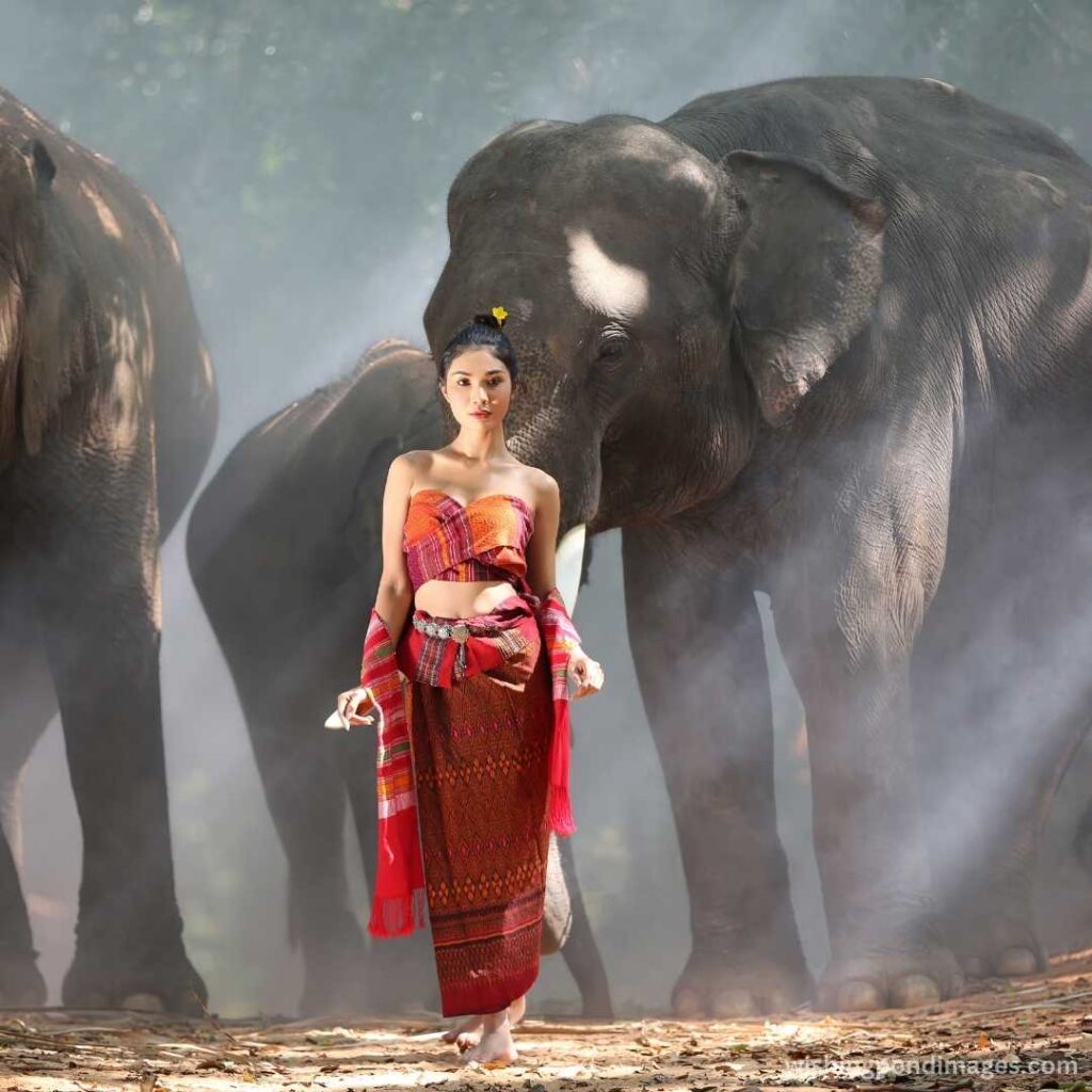 A woman wearing red attire standing with elephants - Nature Images
