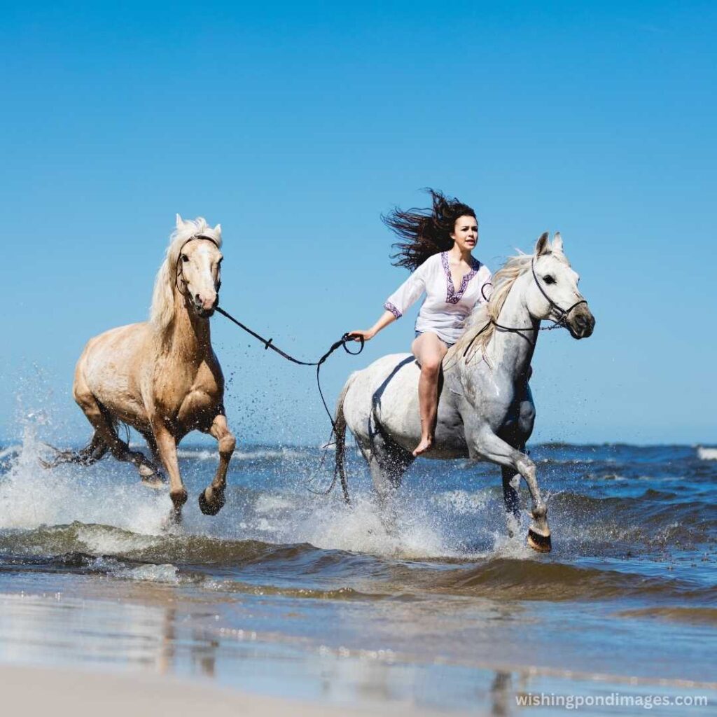 Girl galopading through the sea with two horses - Nature Images