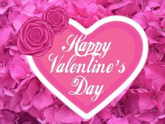Happy Valentine's Day My Dear