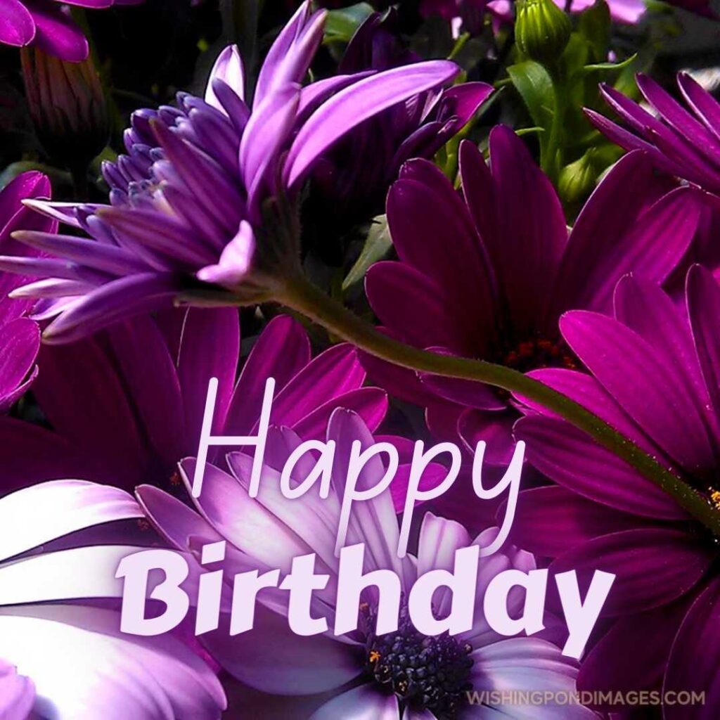 Happy Birthday Purple Flower Images