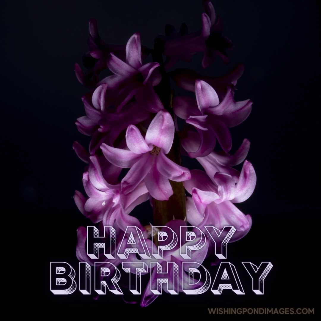 Happy Birthday Purple Flower Images - Wishing Pond Images