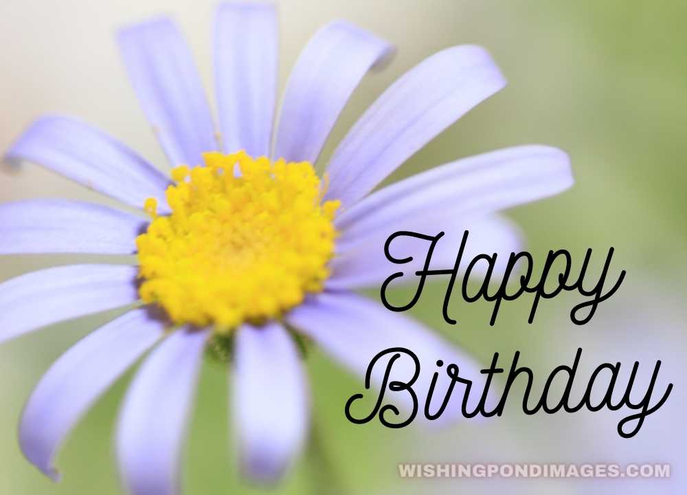 A beautiful purple flower picture. Happy birthday flower images