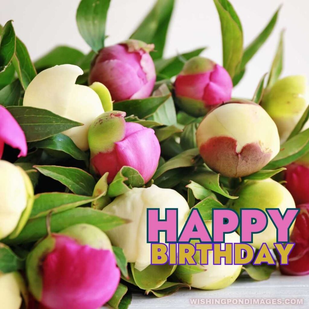 A bunch of colorful flowers. Happy birthday flowers images
