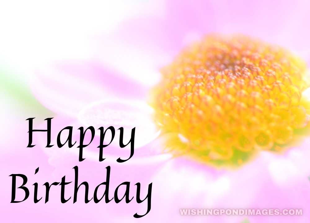 A pink flower picture on a natural background. Happy birthday flower images