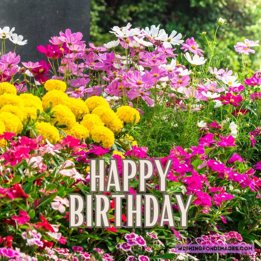 Happy Birthday Flower Garden Images - Wishing Pond Images