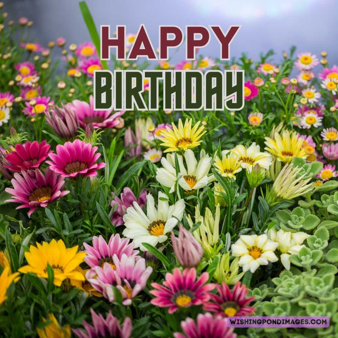 Happy Birthday Flower Garden Images Wishing Pond Images