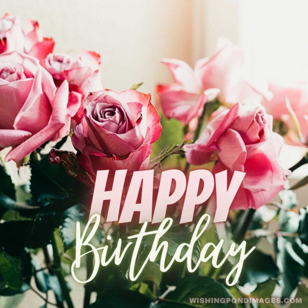 Bouquet of pink roses by the window - Happy Birthday Flower Images