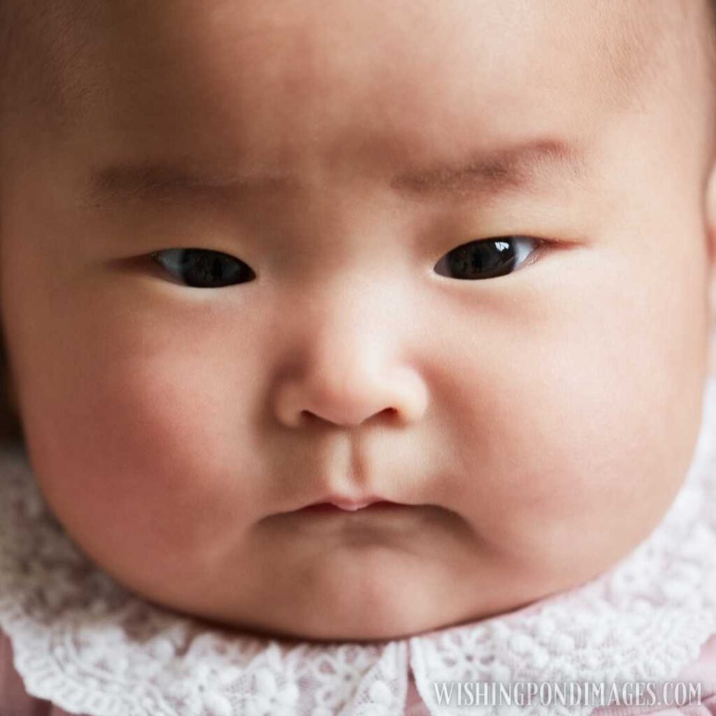 Close-up of Asian cute newborn baby looking at camera. Newborn baby images