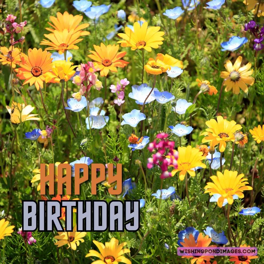 Happy Birthday Flower Garden Images - Wishing Pond Images