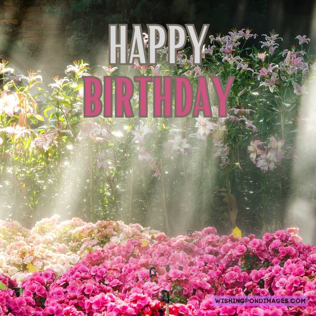 Happy Birthday Flower Garden Images Wishing Pond Images