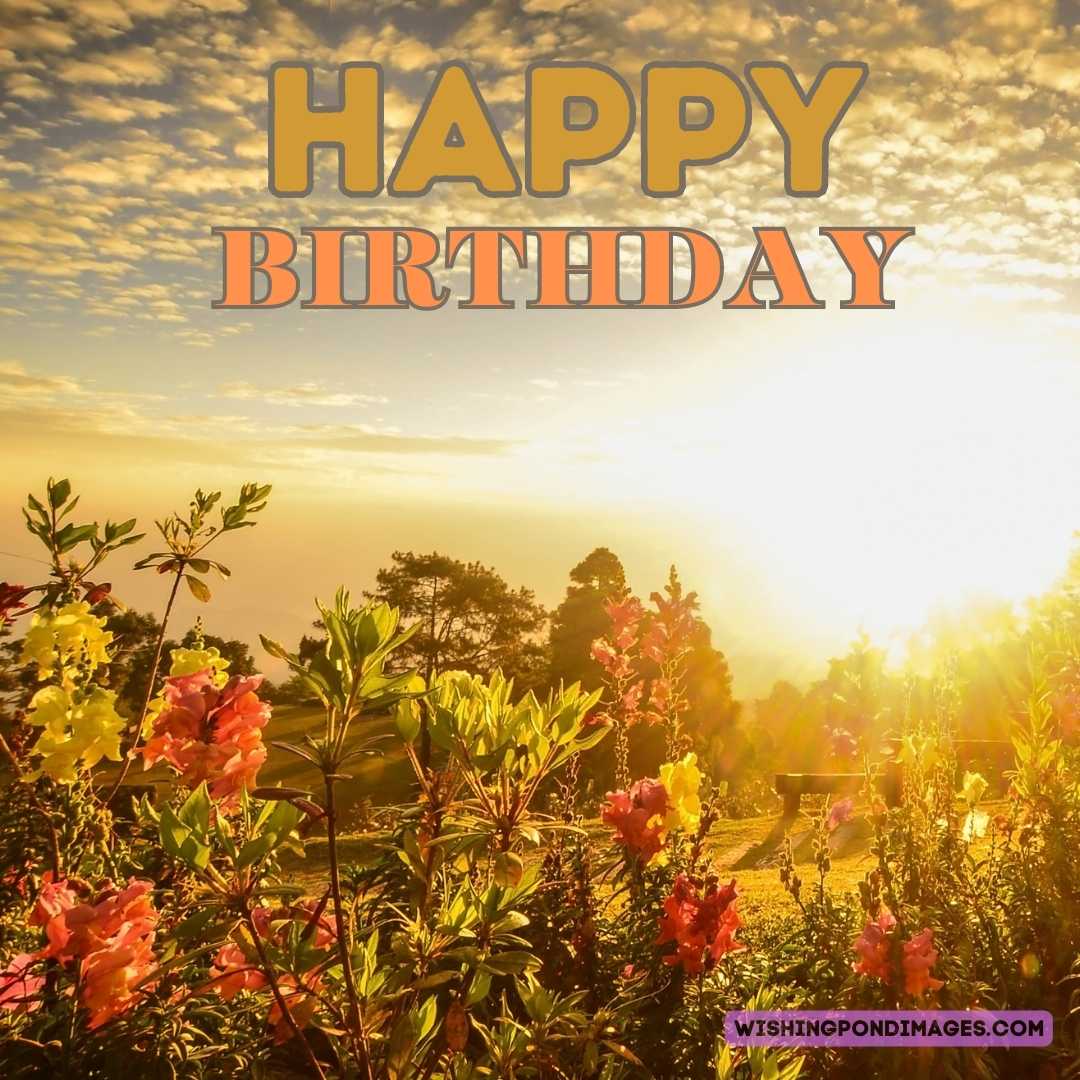 Happy Birthday Flower Garden Images - Wishing Pond Images