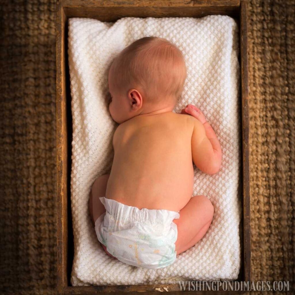 Newborn baby in crate. Newborn baby image