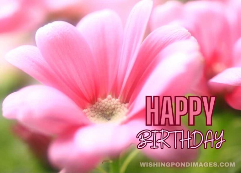 Beautiful Flowers for Birthday Wishes - Wishing Pond Images