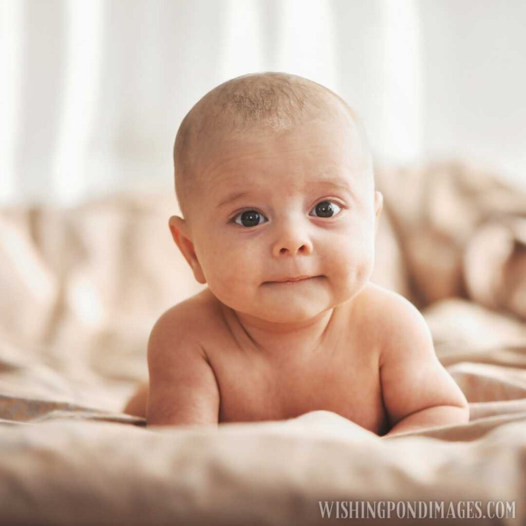 Portrait of a newborn baby. Newborn baby images