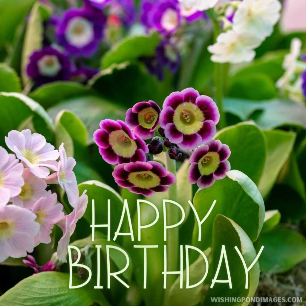 Happy Birthday Flower Garden Images