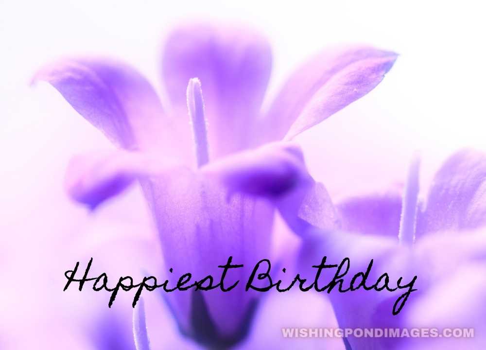 Purple-colored flower picture. Happy birthday flower images