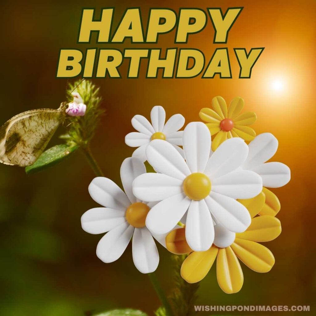 White and yellow flowers on nature background. Happy birthday flowers images