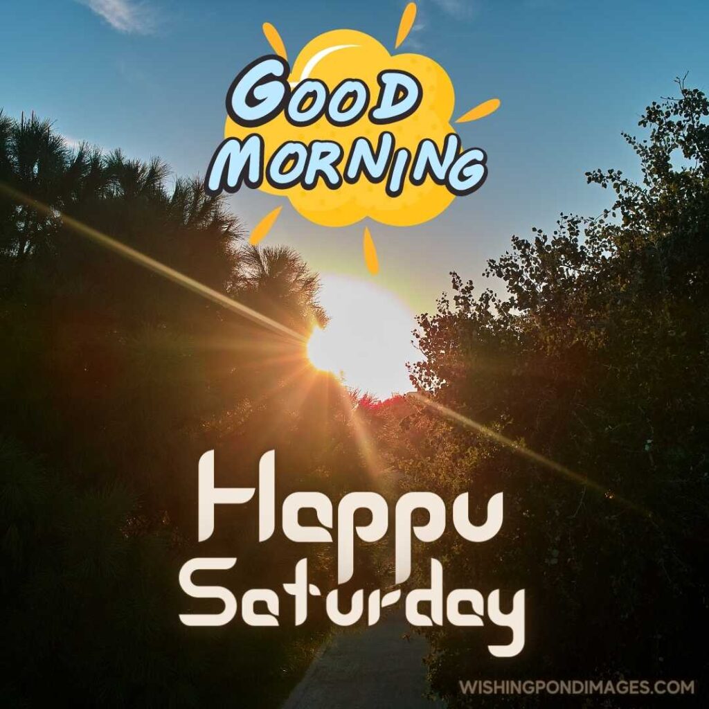 Saturday afternoon - Good morning happy saturday
