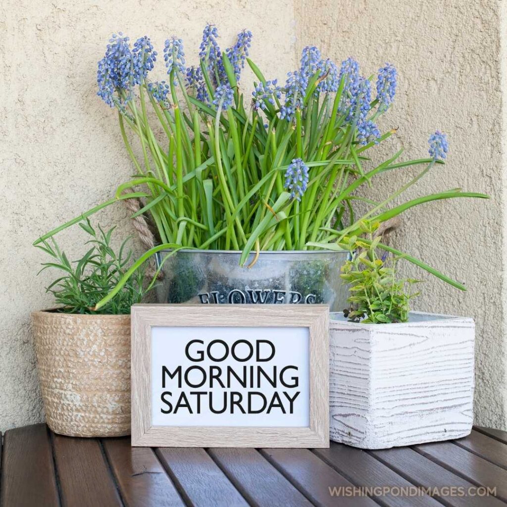Saturday morning lifestyle greeting note - Good morning happy saturday (2)