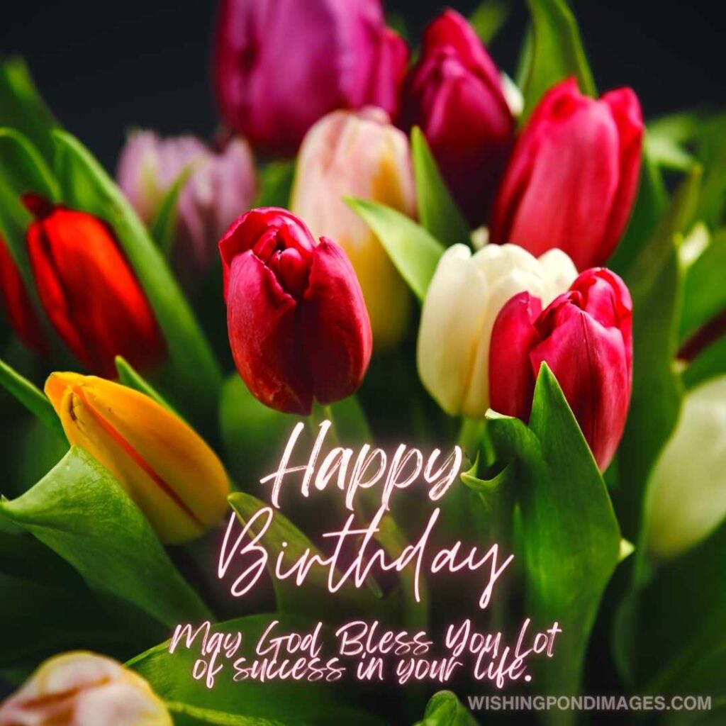 A bouquet of colorful tulips flowers. Happy birthday tulips flowers images