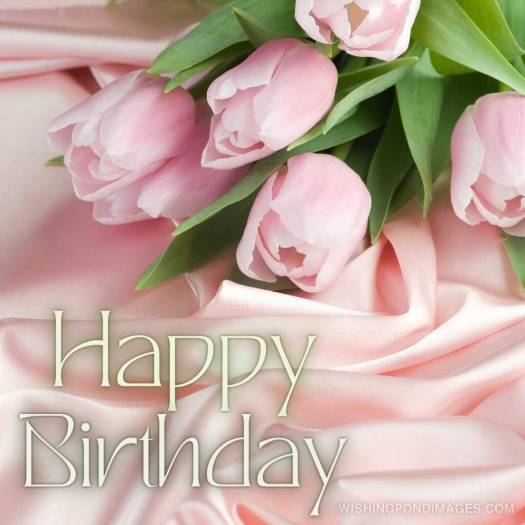 A light pink-colored tulips flowers present on pink cloth. Happy birthday tulips flowers images