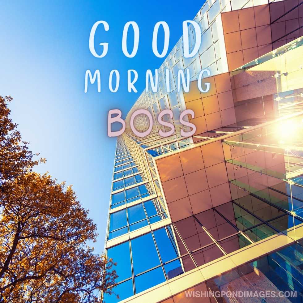 A view of an office building skyscraper. Good Morning Boss Images