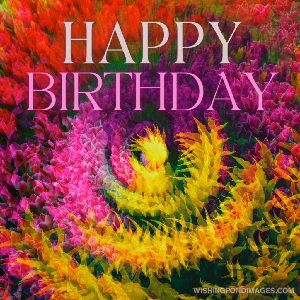 An image of spiral colored tulips flowers in the garden. Happy birthday tulips flowers images