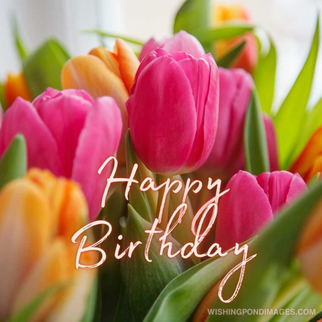 Beautiful bouquet of colorful tulips. Happy birthday tulips flowers images