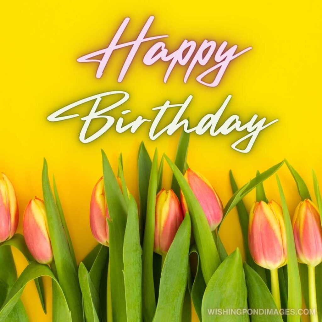 Beautiful fresh tulips flowers on yellow background. Happy birthday tulips flowers images