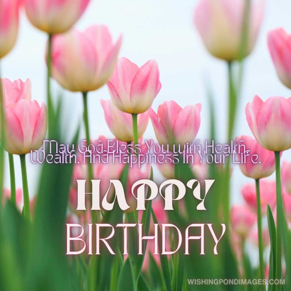 Beautiful spring tulips flowers. Happy birthday tulips flowers images