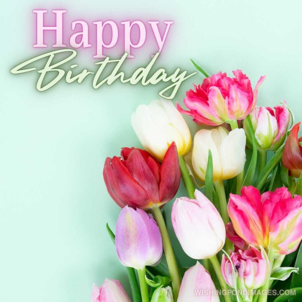 Bouquet of fresh tulips flowers on plain pastel green background. Happy birthday tulips flowers images