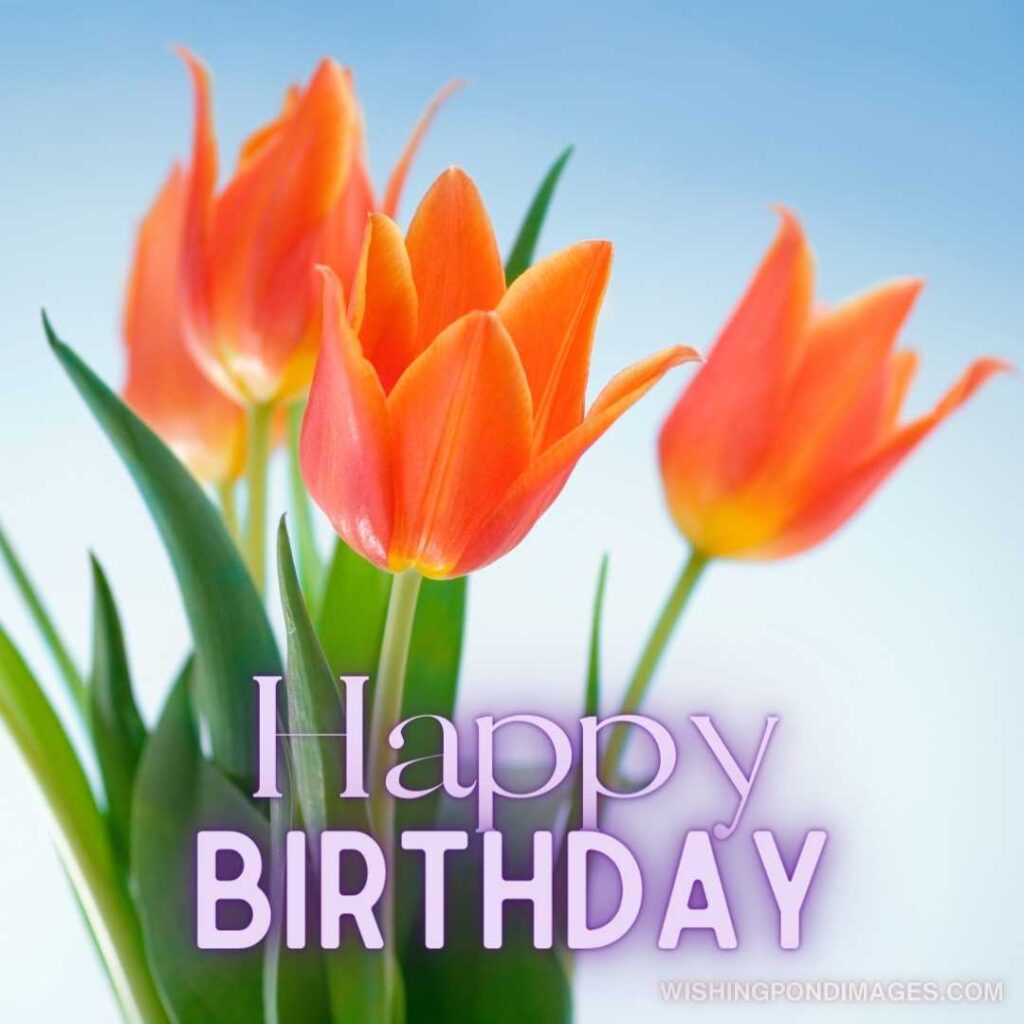 Bouquet of orange tulips flowers. Happy birthday tulips flowers images