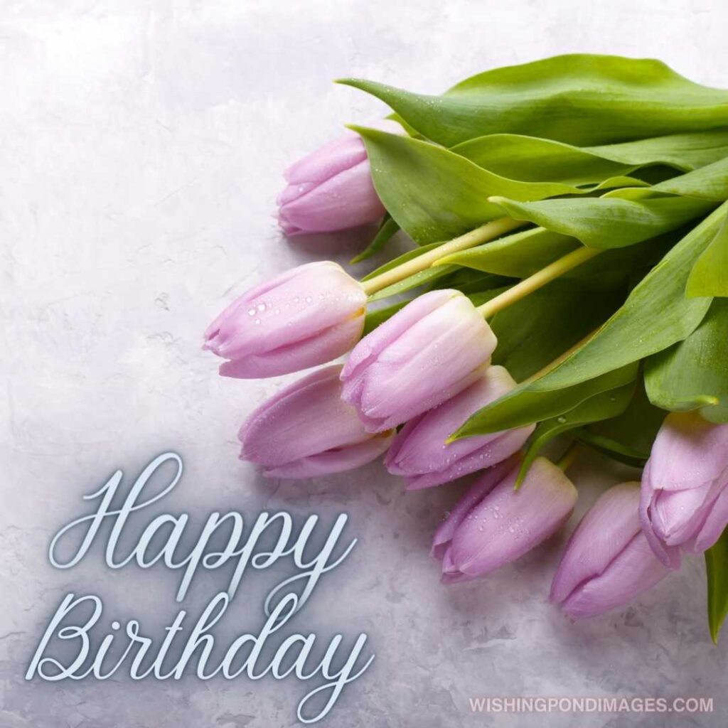 Bouquet of pink tulips flowers on light grey background. Happy birthday tulips flowers images