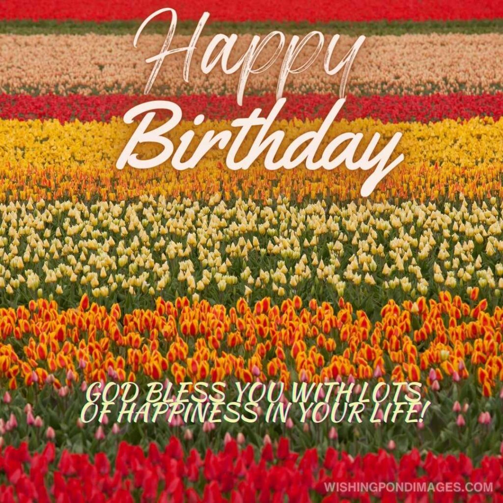 Colorful tulips flowers field. Happy birthday tulips flowers images