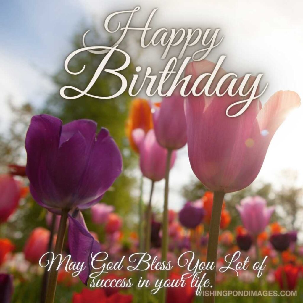 Colorful tulips in spring. Happy birthday tulips flowers images