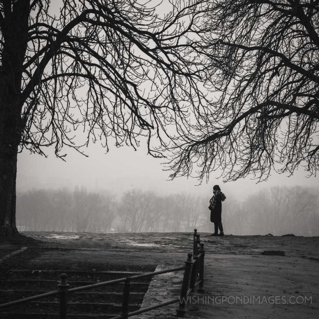 Girl standing in the park on a gloomy day. Feeling alone images girl.