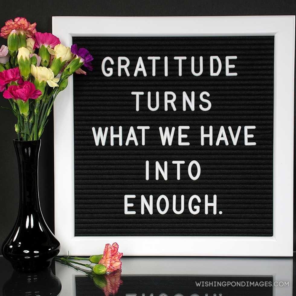 Inspiration quote about gratitude on message board with carnation bouquet in black vase. Inspirational quote images