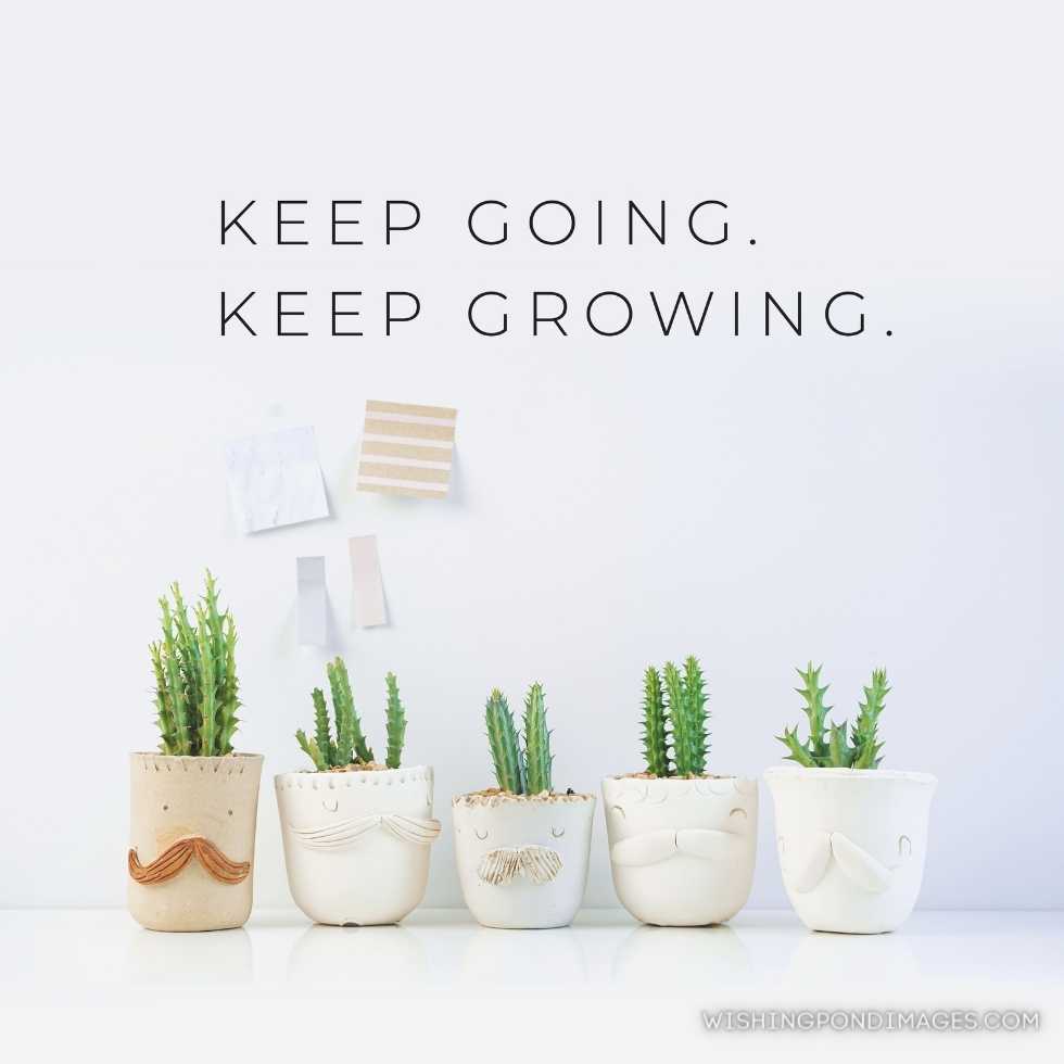 Inspirational quote- ‘keep going, keep growing’, cactus plant on white background. Inspirational quotes images