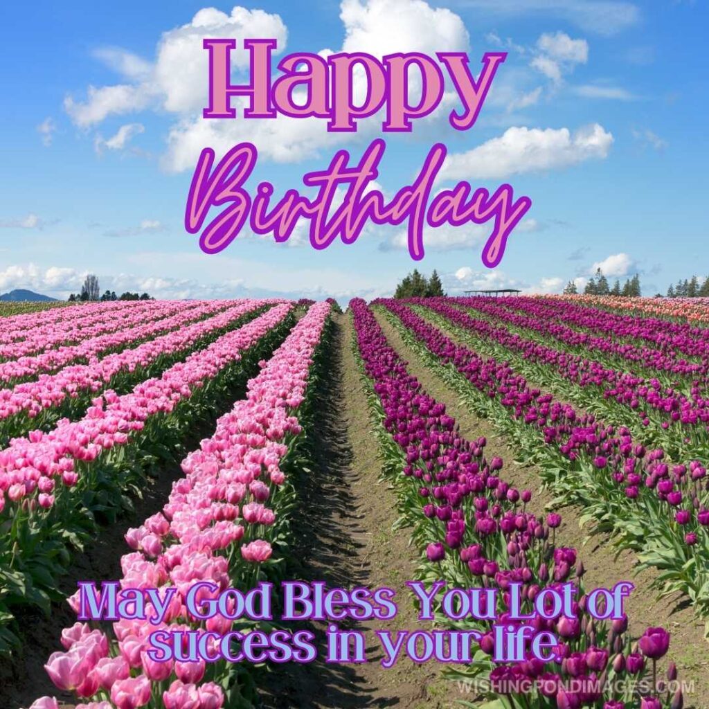 Light and dark pink colored tulips flowers field on sky blue background. Happy birthday tulips flowers images