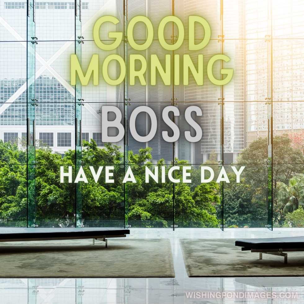 Office buildings. Good Morning Boss