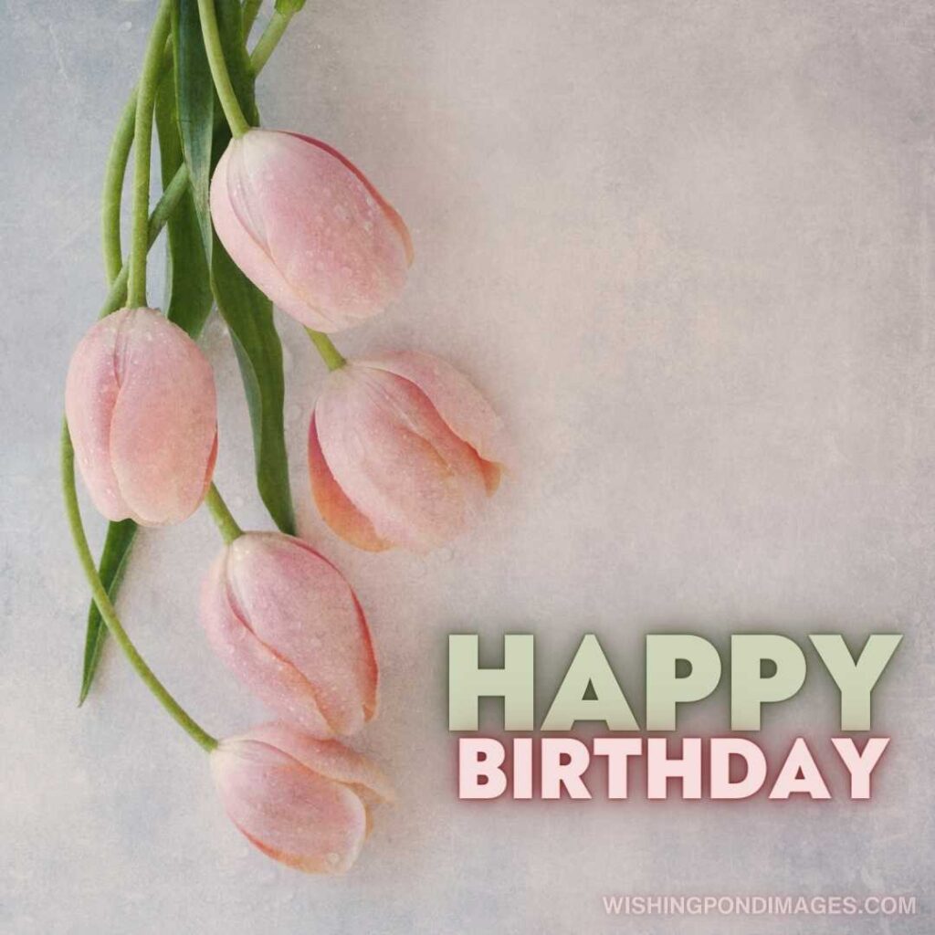 Peach-colored tulips flowers on a light-colored background. Happy birthday tulips flowers images