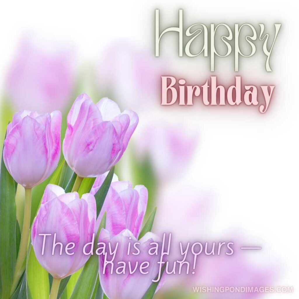 Pink tulips flowers and spring background. Happy birthday tulips flowers images