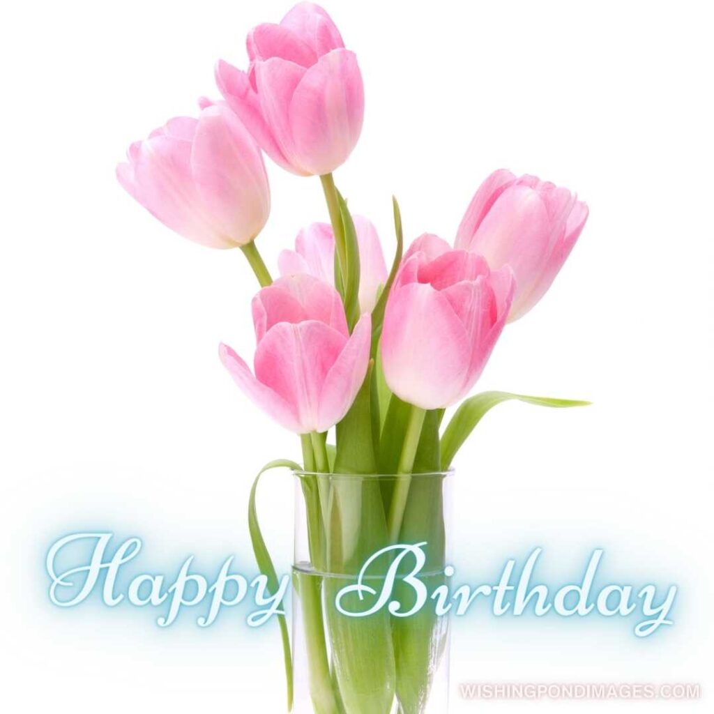 Pink tulips flowers in vase on white background. Happy birthday tulips flowers images