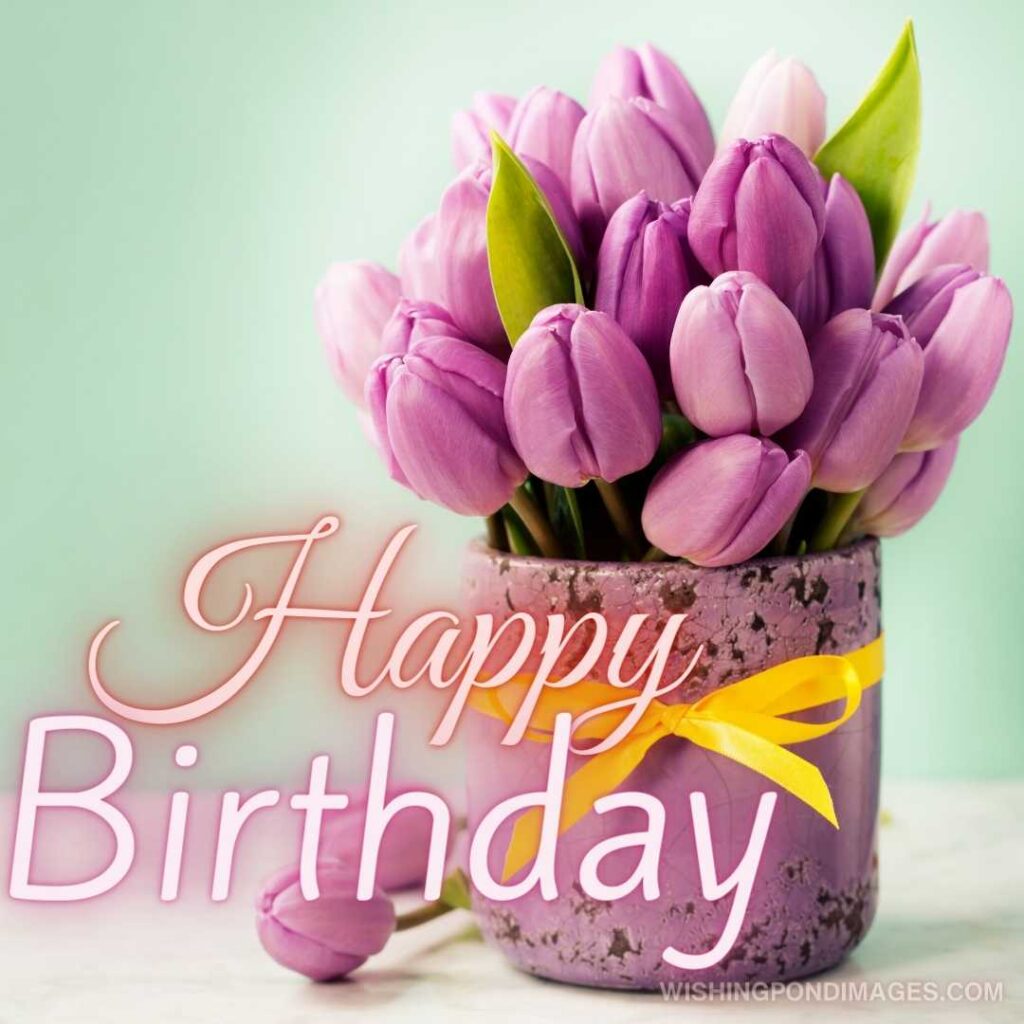 Purple tulip flowers bouquet on green background. Happy birthday tulips flowers images