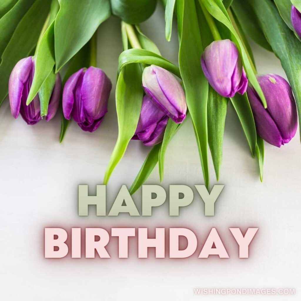 Purple tulips flowers bouquet on white wooden table. Happy birthday tulips flowers images