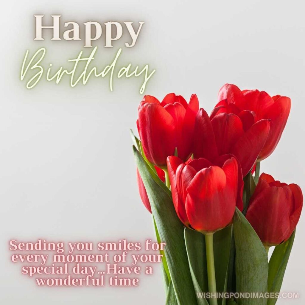 Red colored tulips flowers bouquet on white background. Happy birthday tulips flowers images