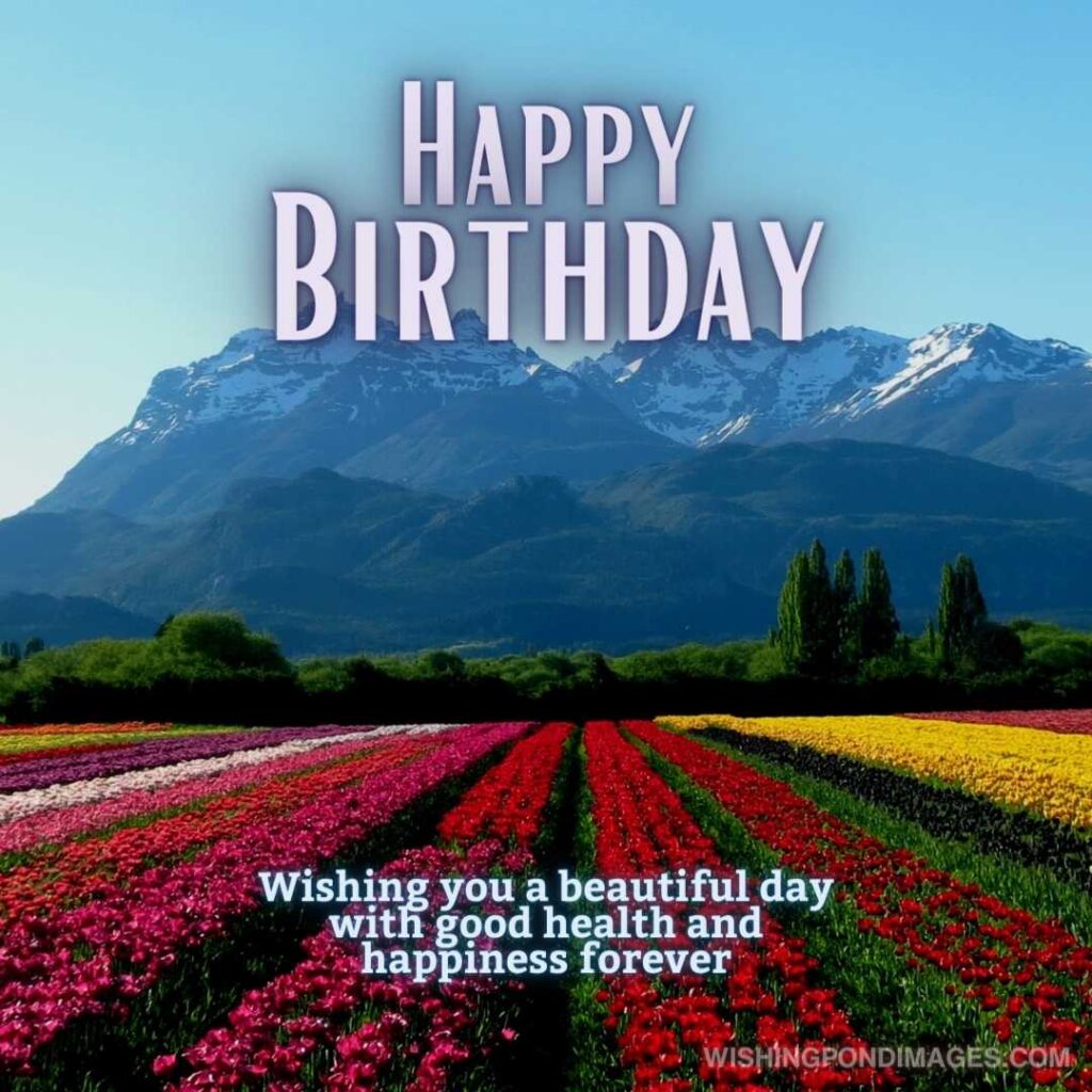 Tulips flowers field on high mountains background. Happy birthday tulips flowers images