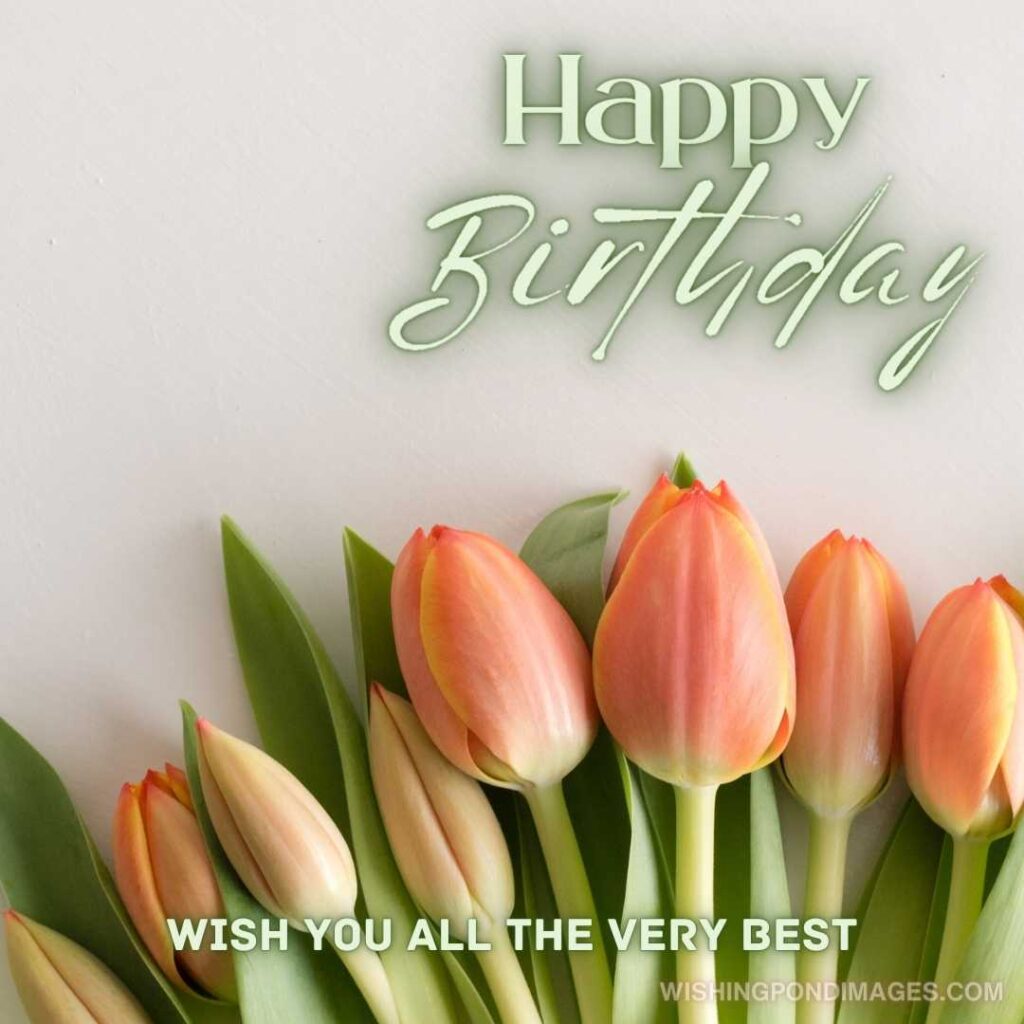 View of orange tulips on white table. Happy birthday tulips flowers images